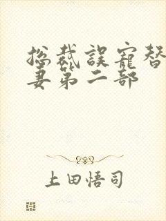 总裁误宠替身甜妻第二部