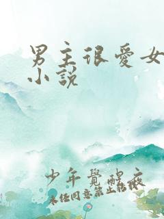 男主很爱女主的小说