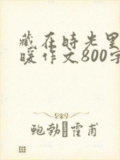 藏在时光里的温暖作文800字