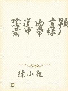 阴道内有颗粒(黄中带绿)