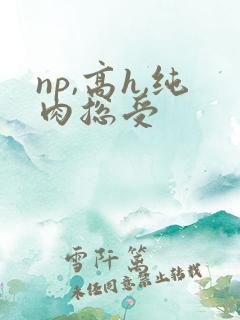 np,高h,纯肉总受