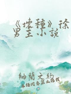 《坏种》徐白双男主小说