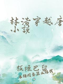 林浩穿越唐朝的小说