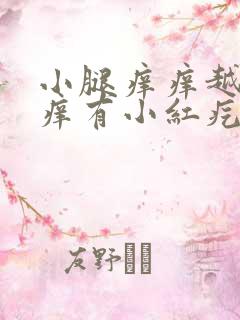 小腿痒痒越挠越痒有小红疙瘩