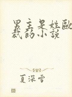 男主是姓欧的总裁的小说