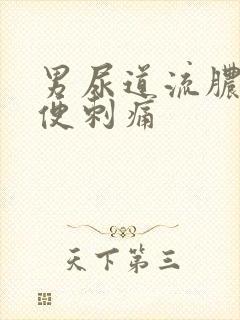 男尿道流脓 小便刺痛