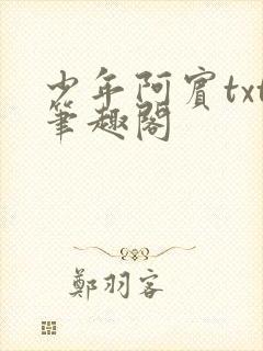 少年阿宾txt笔趣阁