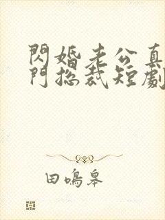 闪婚老公真是豪门总裁短剧免费观看