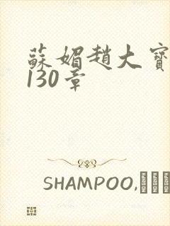 苏媚赵大宝全本130章