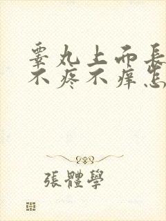 睾丸上面长疙瘩不疼不痒怎么回事