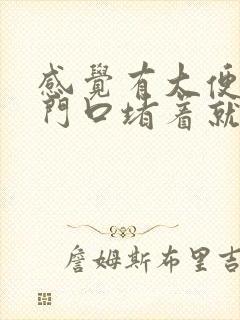 感觉有大便在肛门口堵着就拉不出来怎么回事