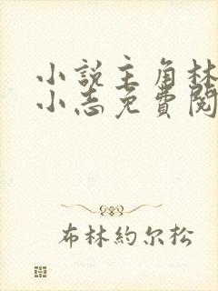 小说主角林姨,小志免费阅读