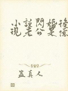 小说闪婚后,发现老公是亿万总裁免费阅读