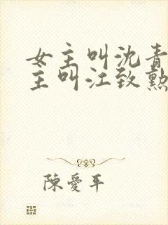 女主叫沈青青男主叫江致勋的小说