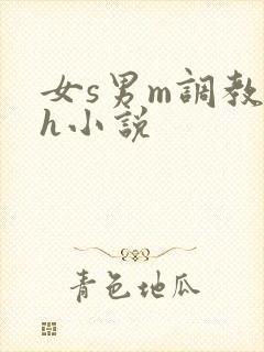 女s男m调教高h小说