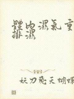 体内湿气重怎么排湿