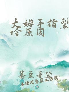 大姆手指裂小口啥原因