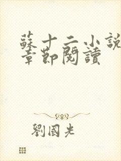 苏十二小说最新章节阅读