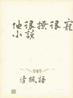 他很撩很宠类似小说