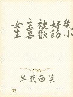 女主被好几个男生喜欢的小说