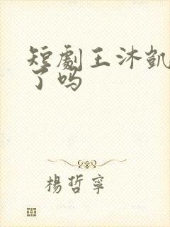 短剧王沐凯结婚了吗