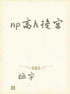np高h后宫