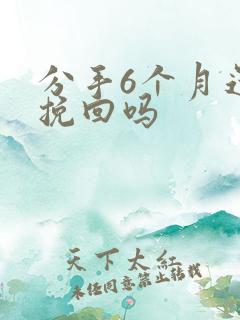 分手6个月还能挽回吗