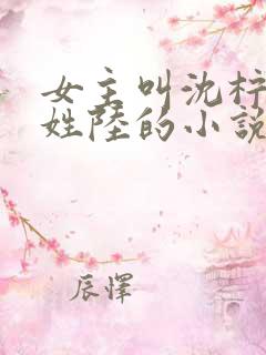 女主叫沈柠男主姓陆的小说