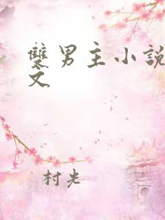 双男主小说总受文