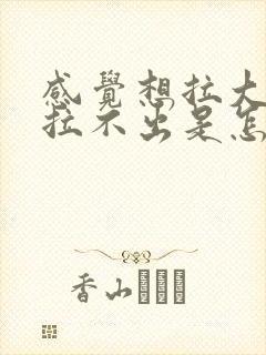 感觉想拉大便又拉不出是怎么回事