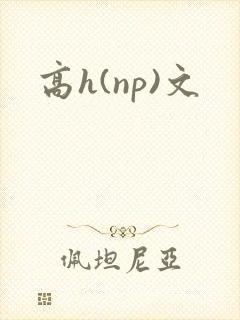 高h(np)文