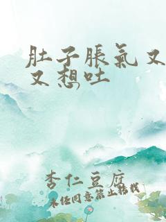 肚子胀气又恶心又想吐