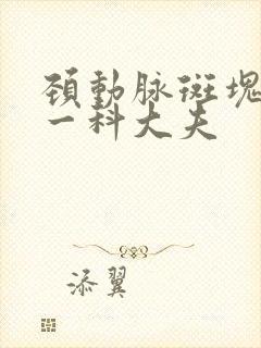 颈动脉斑块看哪一科大夫