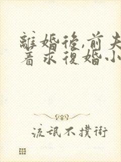 离婚后,前夫哭着求复婚小说全集免费看