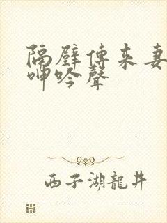 隔壁传来妻子的呻吟声