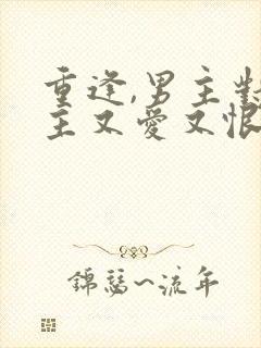 重逢,男主对女主又爱又恨