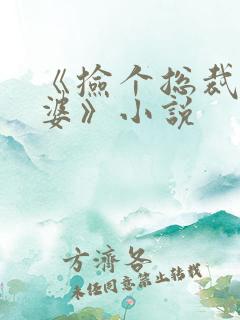 《捡个总裁做老婆》小说