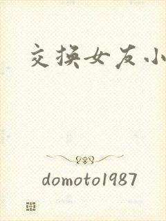 交换女友小说