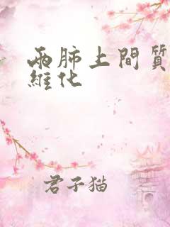 两肺上间质性纤维化