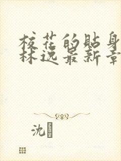 校花的贴身高手林逸最新章节