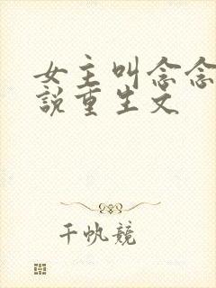 女主叫念念的小说重生文