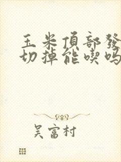 玉米顶部发霉了切掉能吃吗