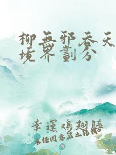 柳无邪吞天神鼎境界划分