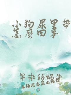 小狗尿里带血是怎么回事