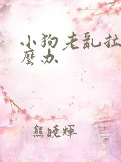 小狗老乱拉尿怎么办