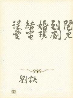 从结婚到开始恋爱电视剧免费