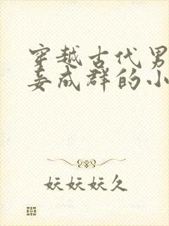 穿越古代男主妻妾成群的小说