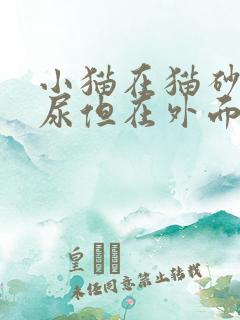 小猫在猫砂盆里尿但在外面拉屎怎么回事