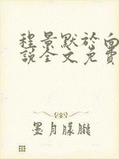 程景默于向念小说全文免费阅读笔趣阁