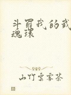 斗罗我的武魂是魂环